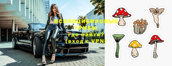 молекула духа Козловка